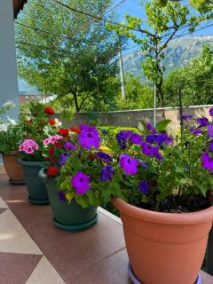 Taos Guest House Permet - 3
