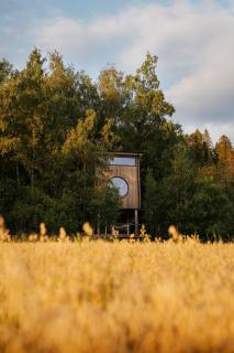 Fuglekassehytta - 8