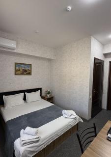 Aziza Hotel White Tashkent - 9