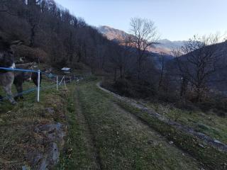 La Baita nel Bosco - Berzo - 9