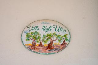 Ulivi - 8