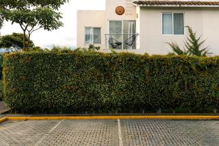 Casa Viveros cerca de jardines 3 recamaras albercas y 2 estacionamientos - 2