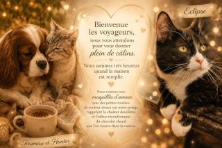 Une bulle de bien-être au rendez-vous Spa privatif et petit déjeuner inclus - Pexiora - 8