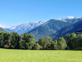 T2 HYPER CENTRE LUCHON AVEC ASCENSEUR 2 A 6 pers - 1