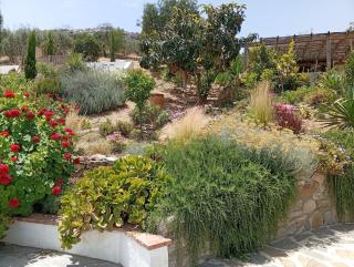 Finca Altozano - Private pool - 6