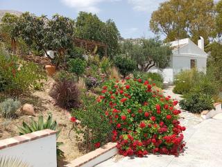 Finca Altozano - Private pool - 5