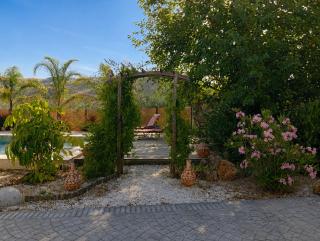 Finca Altozano - Private pool - 9