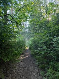 Schwedentraum - 6