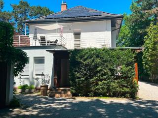 Honvéd n4. apartman - 1