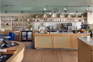 Schwan Locke - 2