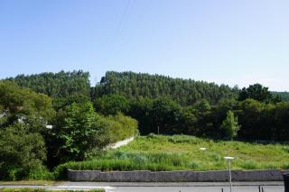 Meruelo Home - 1