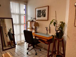 Sunny Home in Oaxaca City Center - 2