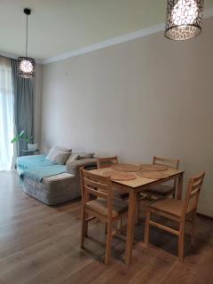 Central Park Apartment - 1