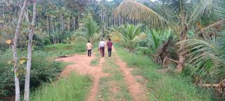 Ithal Villa - Home Stay - 8