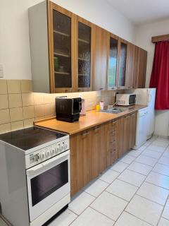Prostorný apartmán u kurtů - 9