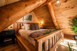 Welcome to the JUNGLE - Log cabine - SPA - 1