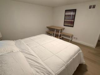 Newly Renovated house in the heart of Vancouver - 9