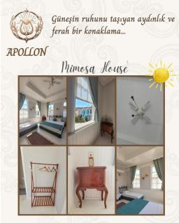 Mimosa House Ayvalık - 4