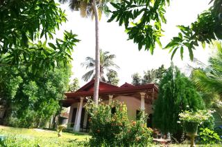 New Vilard - Tissamaharama - 0