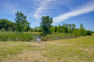 Steps to Fishing Pond! Country Cabin in Maysville - 8