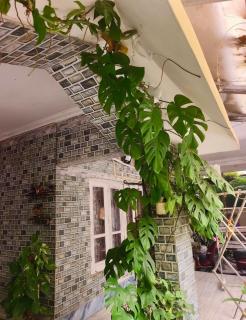 Private Suite Royal Manor Guwahati - 1