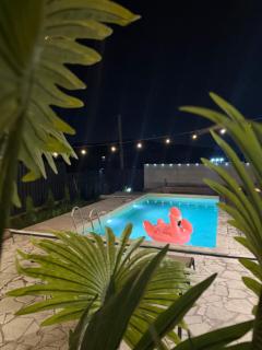 Paralia - 5
