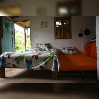 Cabañas Un lugar Mágico en Cisneros Antioquia - Cisneros - 1