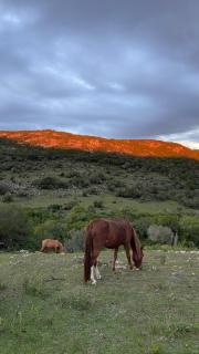 Gran Cabaña en las Sierras de Maldonado - 2