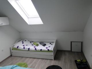 Guesthouse Prenočišča Širec - 1