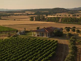Villa Colle dei Vigneti - Sardinian Vineyard Estate - 0
