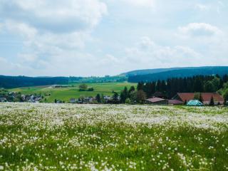 Waldacher Hof - 4