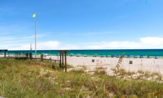 The Dreaming Shore at Sunbird - 5