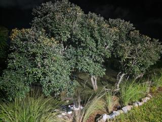 Mutare Fairbridge Executive Suites - 3