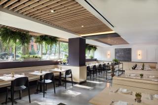 One Washington Circle DC, Tapestry Collection by Hilton - 7