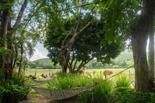 Butterfly Resort Hostel, Pai - 1