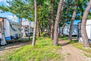 Solhyang Gangneung Caravan Campsite - 7