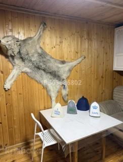 Дом из сруба - 6
