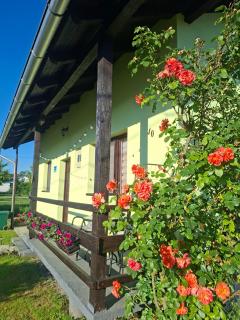 Bosiljak kuca za odmor - 3