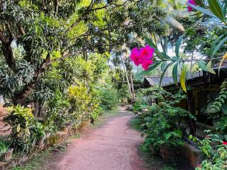 Lakeside Haven Resort - 2