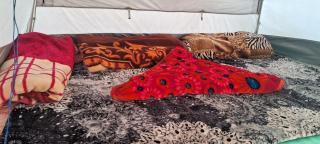 Gurez Valley Camping Site, Wanpora - 0