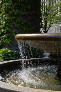 DoubleTree by Hilton North Vancouver - 9