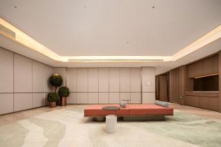 Hilton Garden Inn Chongqing Cbd Jiangbeizui - 9