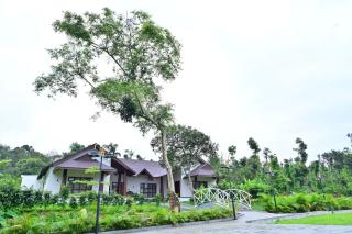 Sheshavana heritage resort - 4