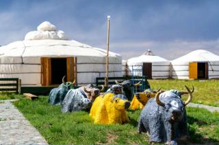 Gobi Sun Lodge - 1