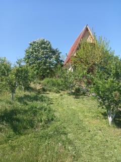 Negovanovic vikendica - 2