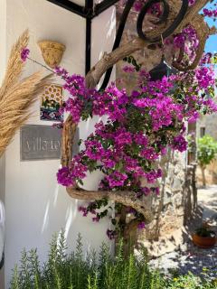 Hotel Villa Tokur - 0