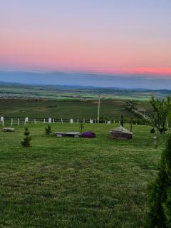La Ograda - Cheile Turzii, near Turda - 1