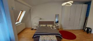 Bright & Spacious Studio in Central Prishtina - 5