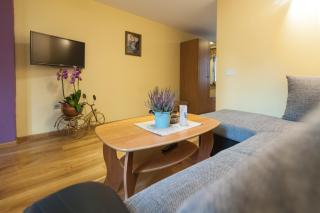 Pokoje u Karolinki - 8