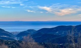 Chaletdellalbero - 3